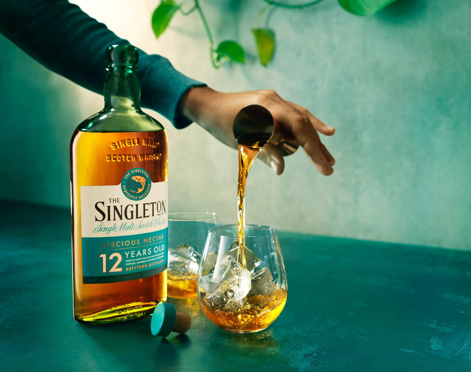 The Singleton – Image 4